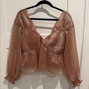Sheer Rose Gold Blouse